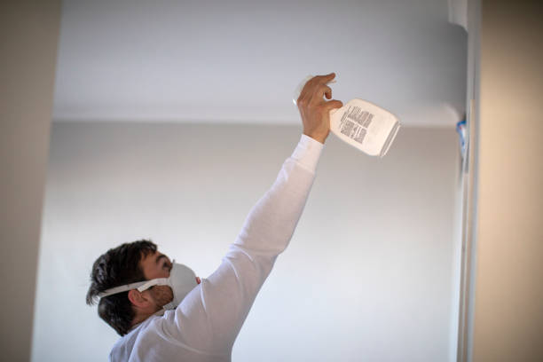 Best Emergency Mold Remediation in Mount Prospect, IL