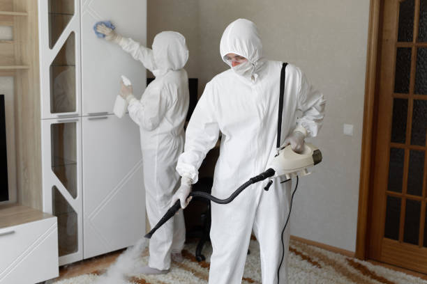 Best HVAC Mold Remediation in Mount Prospect, IL